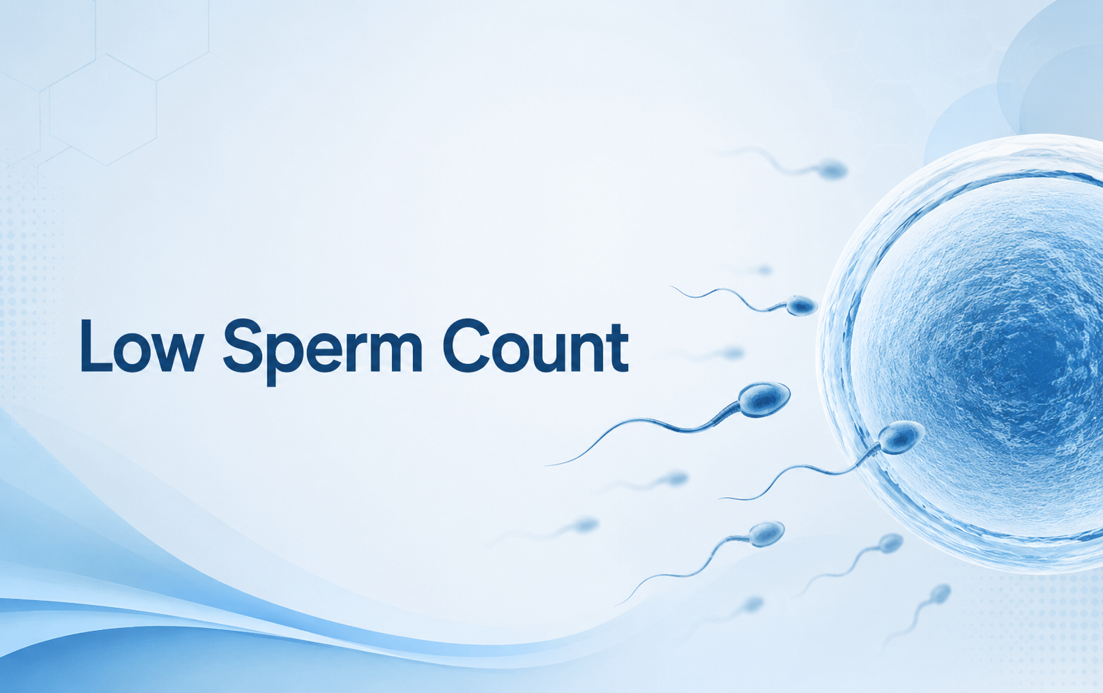 low sperm count