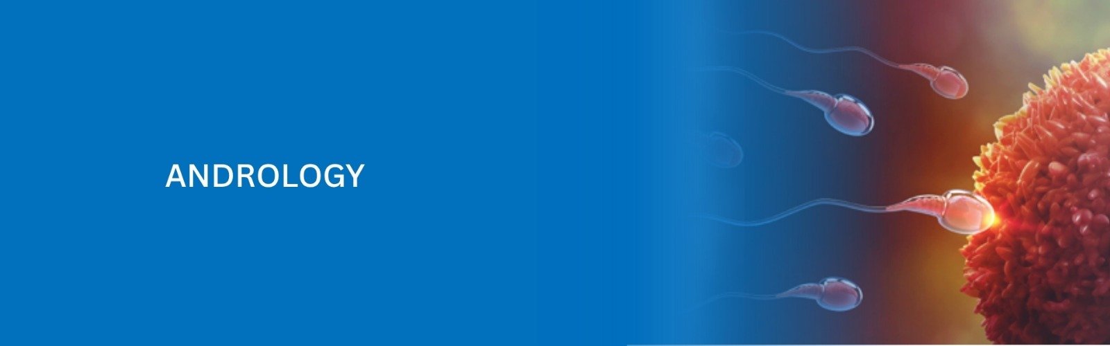 Andrology Banner